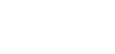 Aviation logo